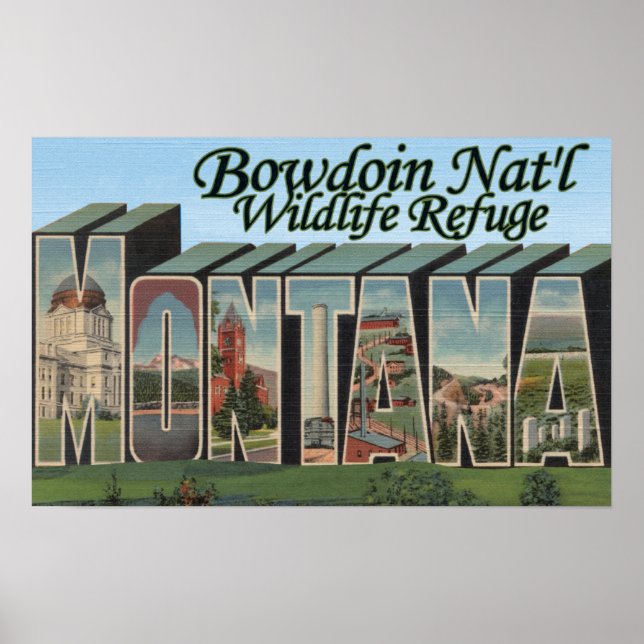Bowdoin Nat'l Wildlife Refugium, Montana Poster (Vorne)