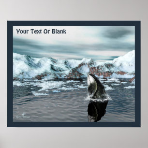 Bowhead Whale Poster