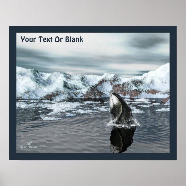 Bowhead Whale Poster (Vorne)