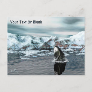 Bowhead Whale Postkarte