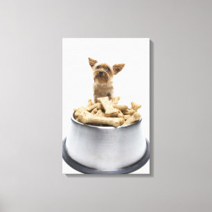 Bowl of dog Leckereien von Yorkshire Terrier Leinwanddruck