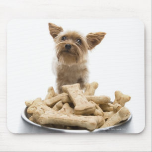 Bowl of dog Leckereien von Yorkshire Terrier Mousepad