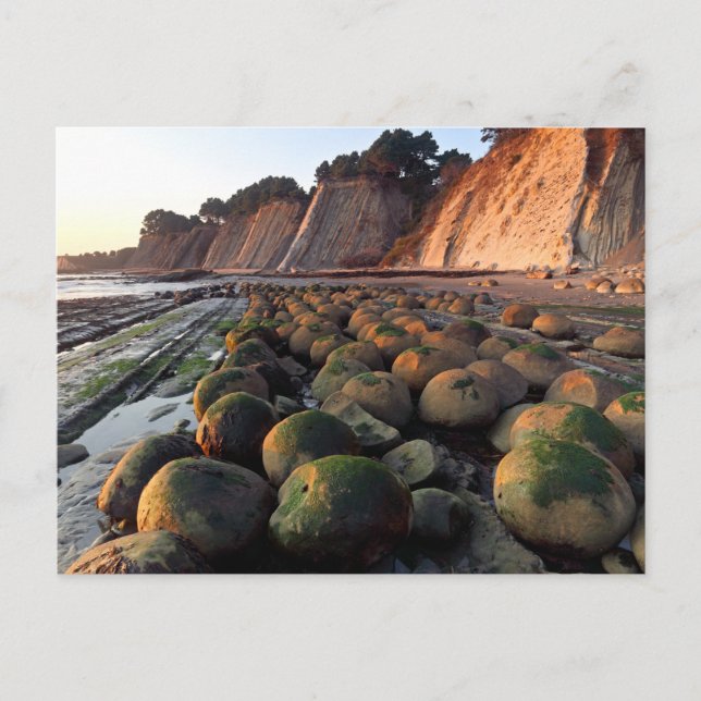 Bowling Ball Beach, Schooner Gulet, Point Arena, Postkarte (Vorderseite)