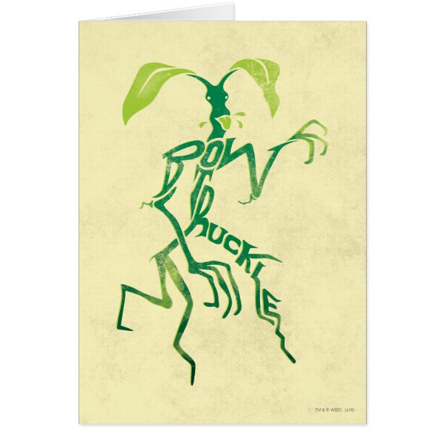 BOWTRUCKLE™ PICKETT™ Typography Graphic (Vorne)