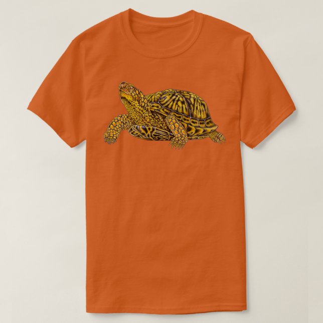 Box Turtle 2 T-Shirt (Design vorne)