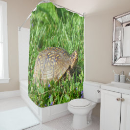 Box Turtle Duschvorhang