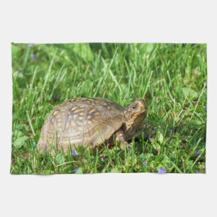 Box Turtle Geschirrtuch