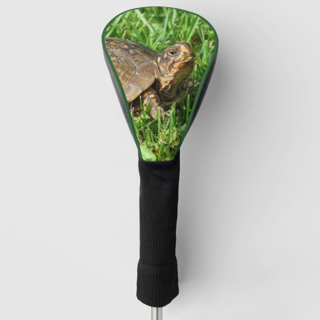 Box Turtle Golf Head Cover Headcover (Vorderseite)