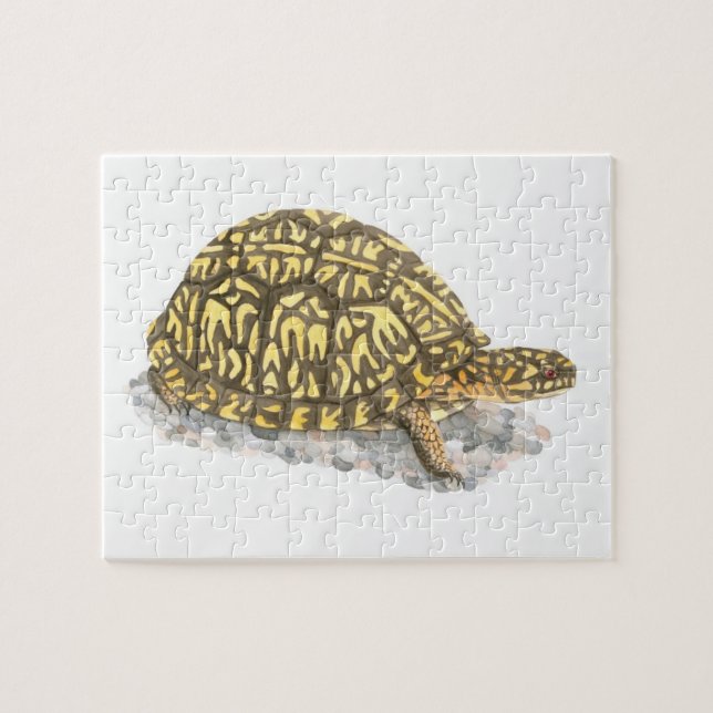 Box Turtle Jigsaw Puzzle (Horizontal)