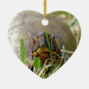 Box Turtle Keramik Ornament