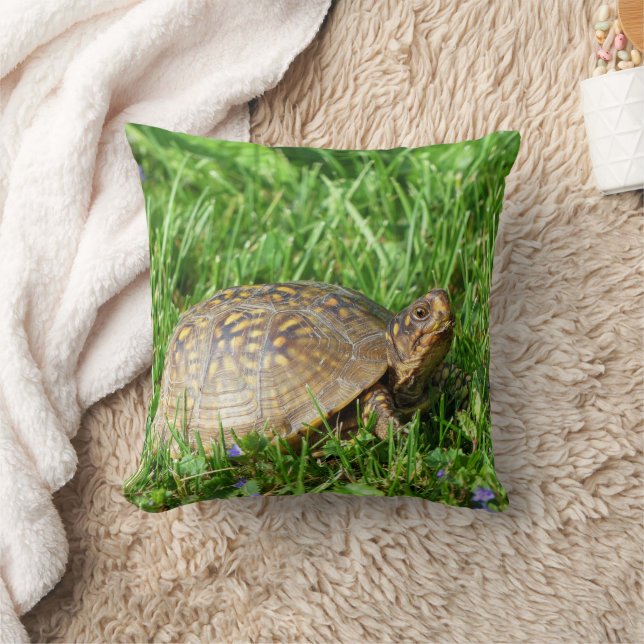 Box Turtle Kissen (Decke)