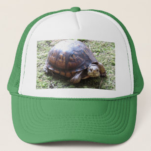 Box Turtle - Mossy Path Truckerkappe