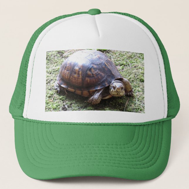 Box Turtle - Mossy Path Truckerkappe (Vorderseite)