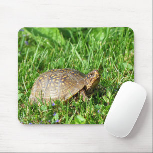 Box Turtle Mousepad