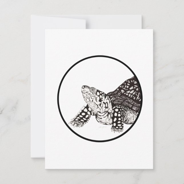 Box Turtle Note Card Mitteilungskarte (Vorderseite)