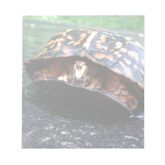 Box Turtle Notizblock (Vorderseite)