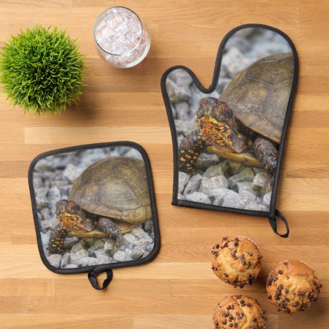 Box Turtle Ofenhandschuh & Topflappen-Set (Oben Unten)