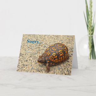 Box Turtle Sorry Belated Birthday Karte