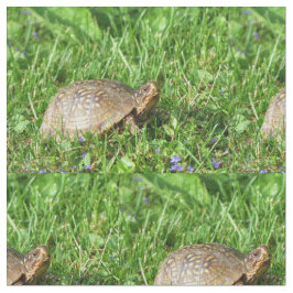 Box Turtle Stoff