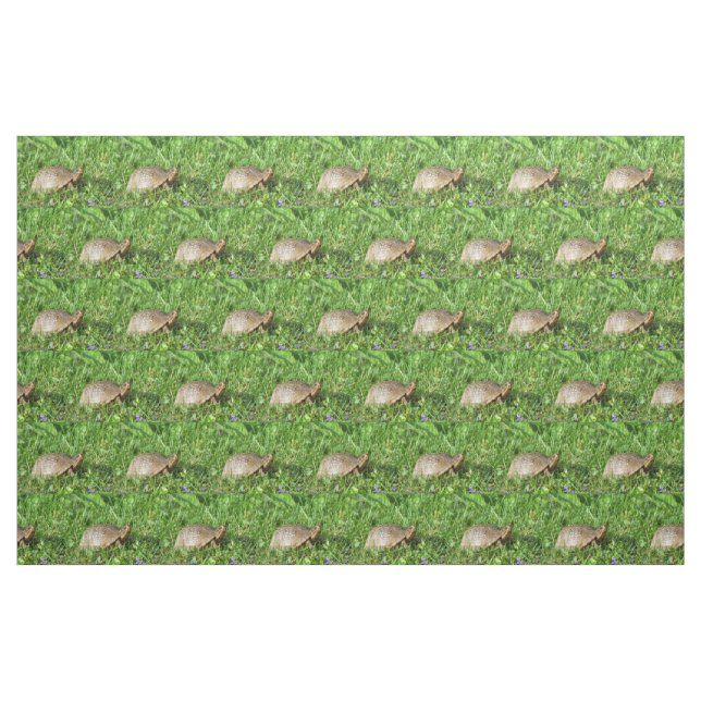 Box Turtle Stoff (Fat Quarter (45,7 x 55,9 cm))