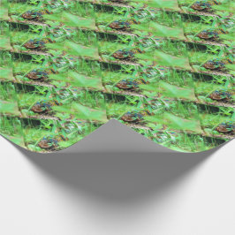 Box Turtle Wrapping Paper Geschenkpapier