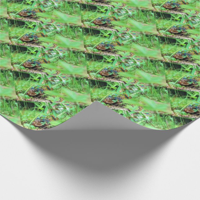 Box Turtle Wrapping Paper Geschenkpapier (Ecke)