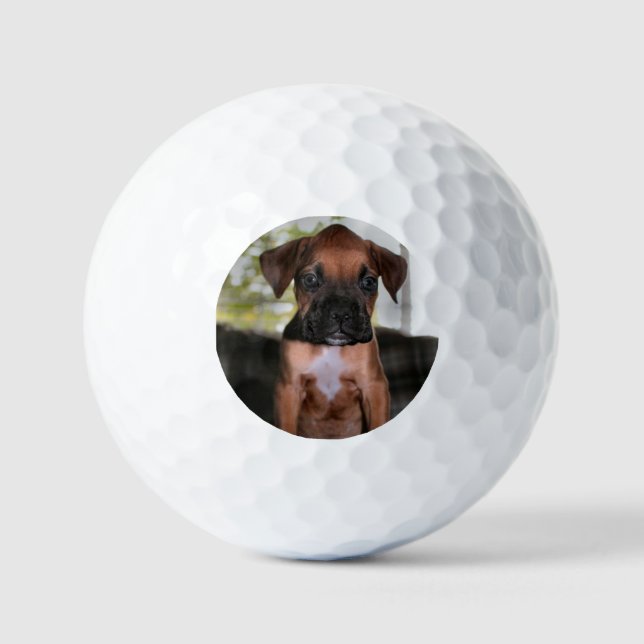 Boxbaby Golfball (Vorderseite)