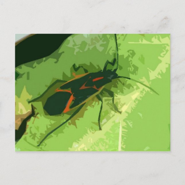 Boxelder Bug Postkarte (Vorderseite)