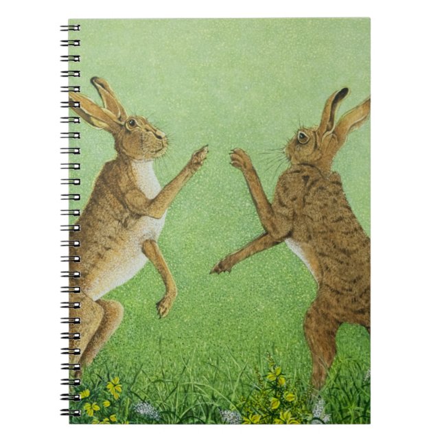 Boxen klug notizblock (Vorderseite)