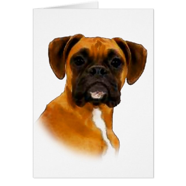 Boxer (Vorne)