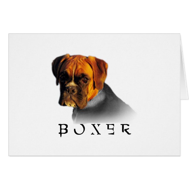 Boxer (Vorderseite (Horizontal))