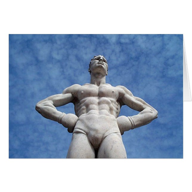 Boxer (Vorderseite (Horizontal))