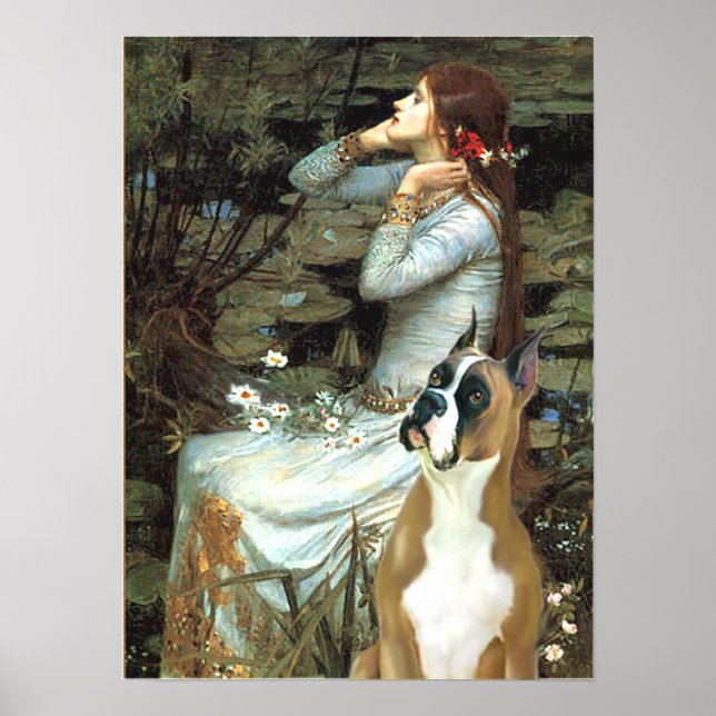 Boxer 1 (zugeschnittene Ohren) - Ophelie Poster (Vorne)
