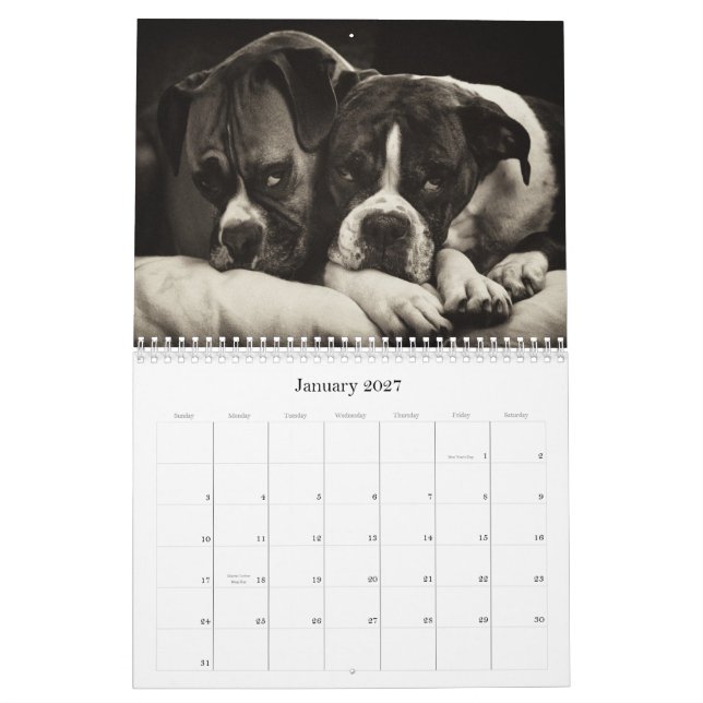 BOXER 2010 KALENDER (Jan 2027)