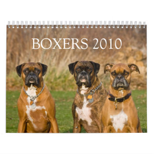 BOXER 2010 KALENDER