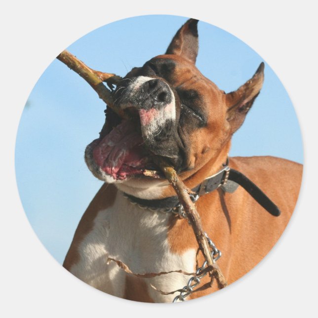 Boxer-Aufkleber Runder Aufkleber (Vorderseite)