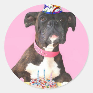 Boxer-Aufkleber Runder Aufkleber