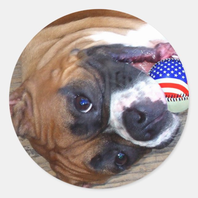 Boxer-Aufkleber Runder Aufkleber (Vorderseite)