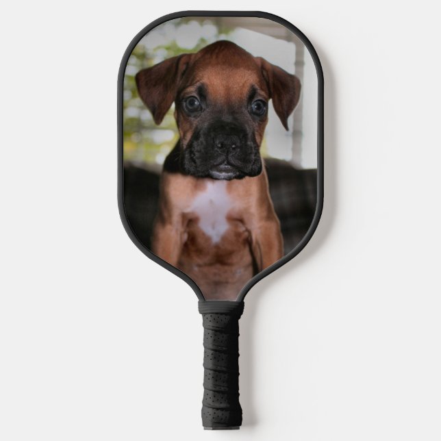 Boxer Baby Pickleball Schläger (Vorderseite)