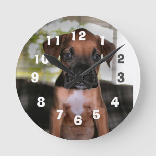 Boxer Baby Runde Wanduhr