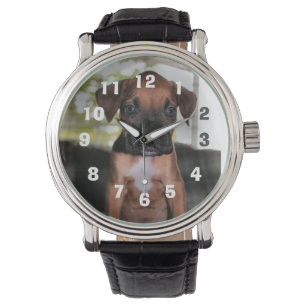 Boxer Baby silberplattiert Halskette Armbanduhr