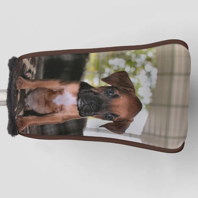 Boxer Babygolfkopfabdeckung Golf Headcover (Vorderseite)