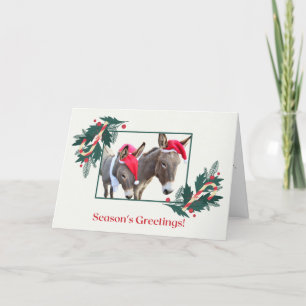 Boxer & Benjamin wünschen frohe Feiertage! Feiertagskarte