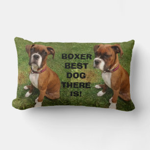 BOXER BESTER HUND ÜBERHAUPT Kissen