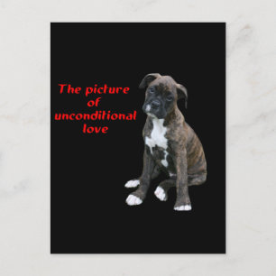Boxer: Bild der bedingungslosen Liebe Postkarte
