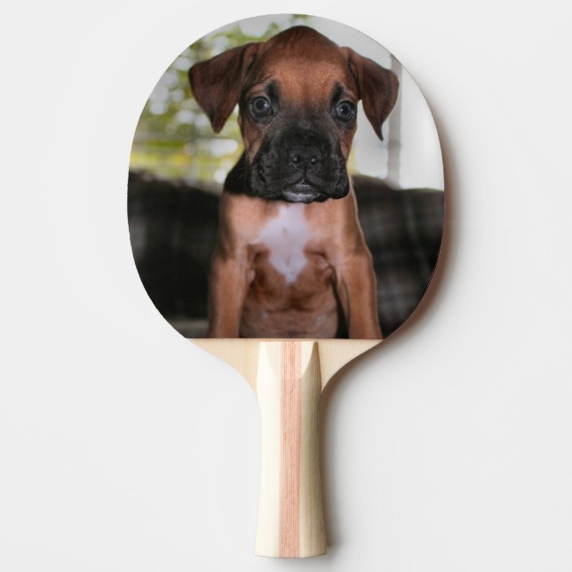 Boxer Bqby Tischtennis Schläger (Vorderseite)