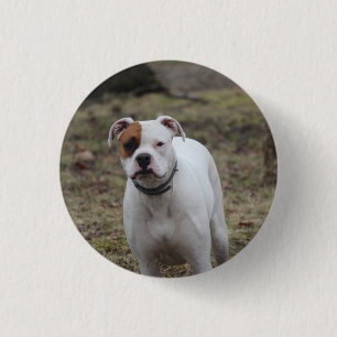 Boxer Button