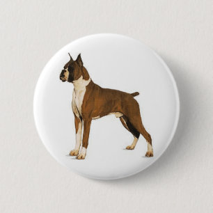 Boxer ceo button