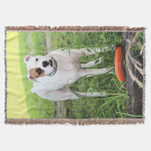 Boxer Decke