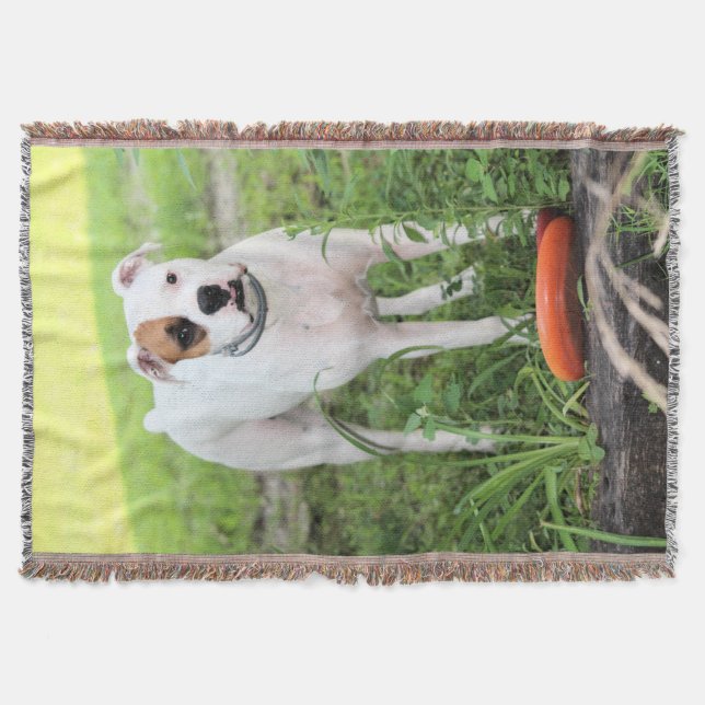 Boxer Decke (Vorderseite)